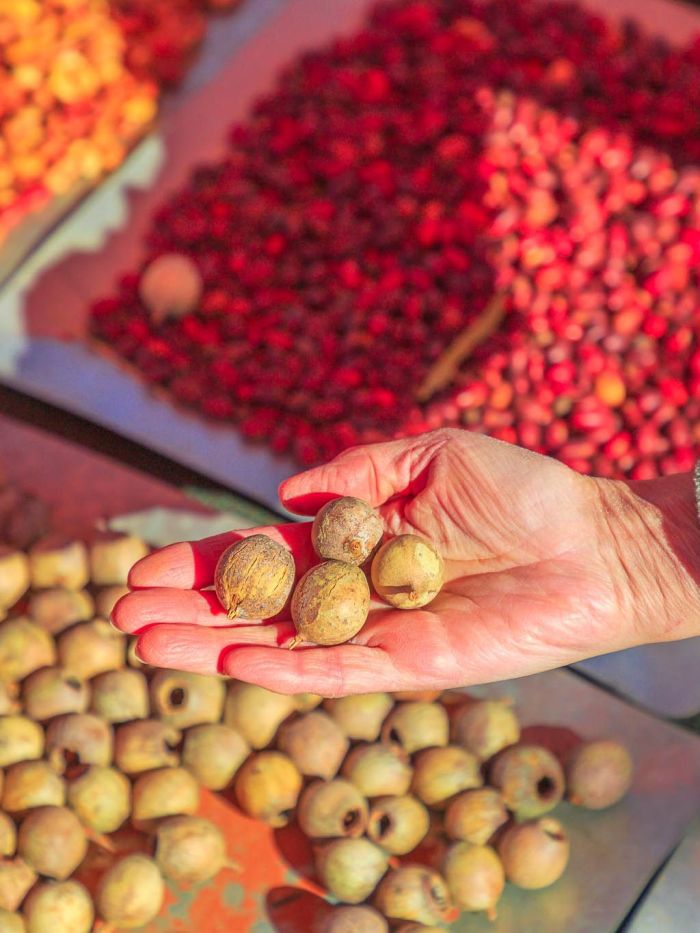 SGS Economics and Planning Native Foods