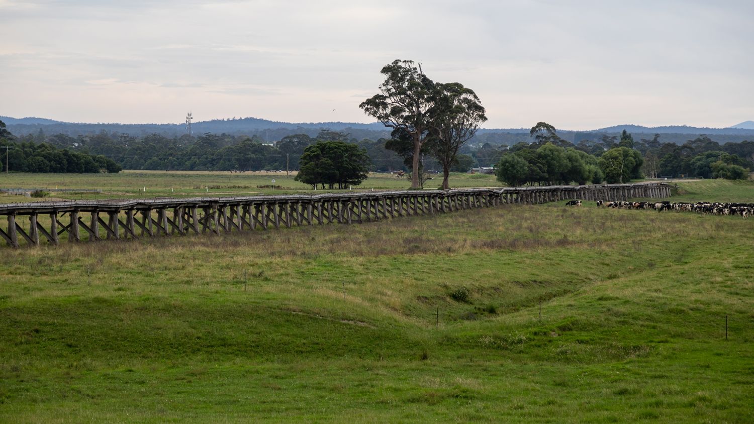 SGS Economics and Planning snowy river banner