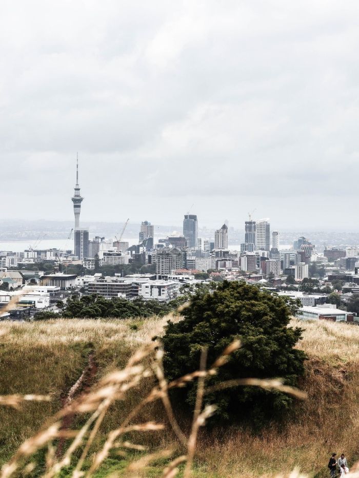 SGS Economics and Planning NZM Feproject