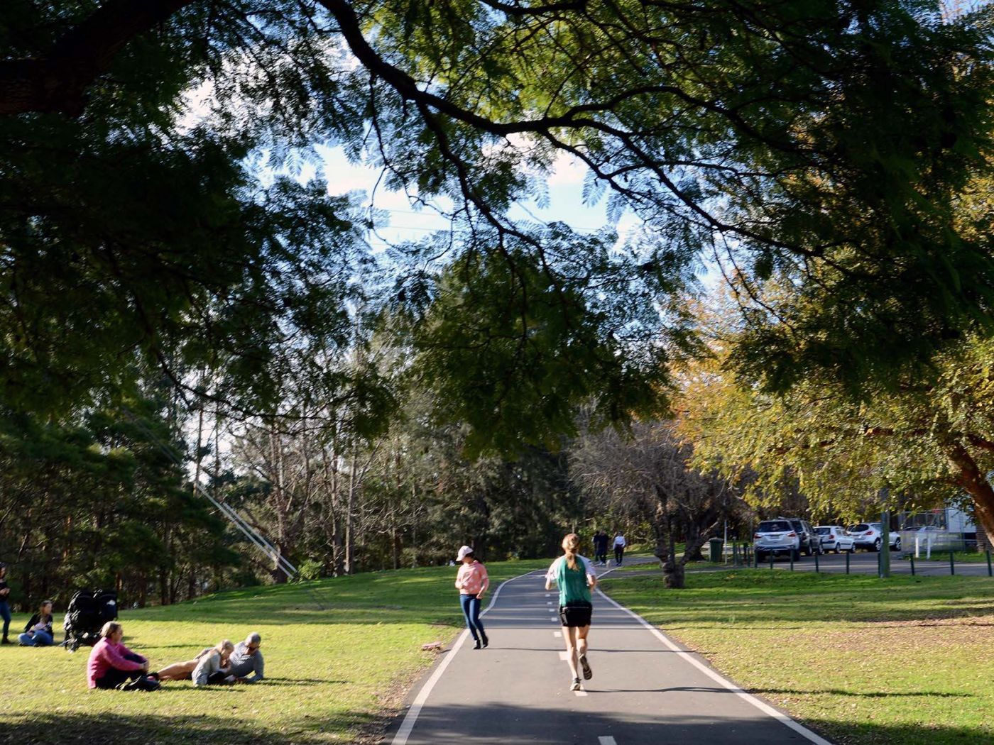 SGS Economics and Planning Western Sydney PIC Program Penrith Park Image