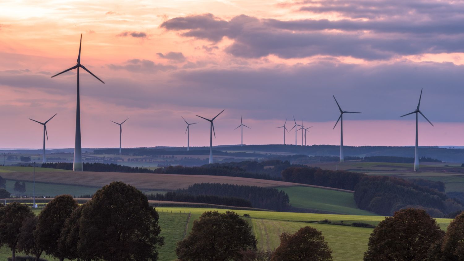 SGS Economics and Planning Aus needs a new spatial industry strategy banner image