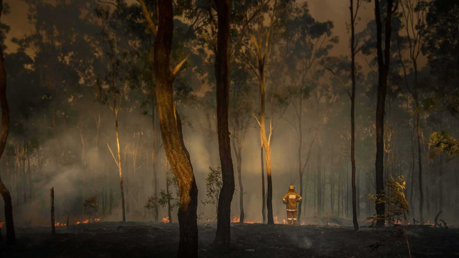 SGS Economics and Planning CRA Fires