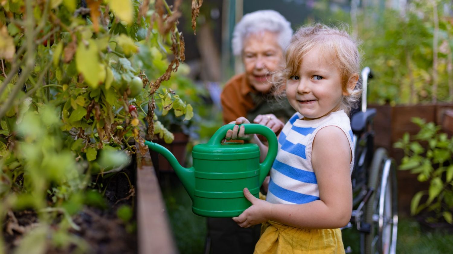 SGS Economics and Planning CRWI2