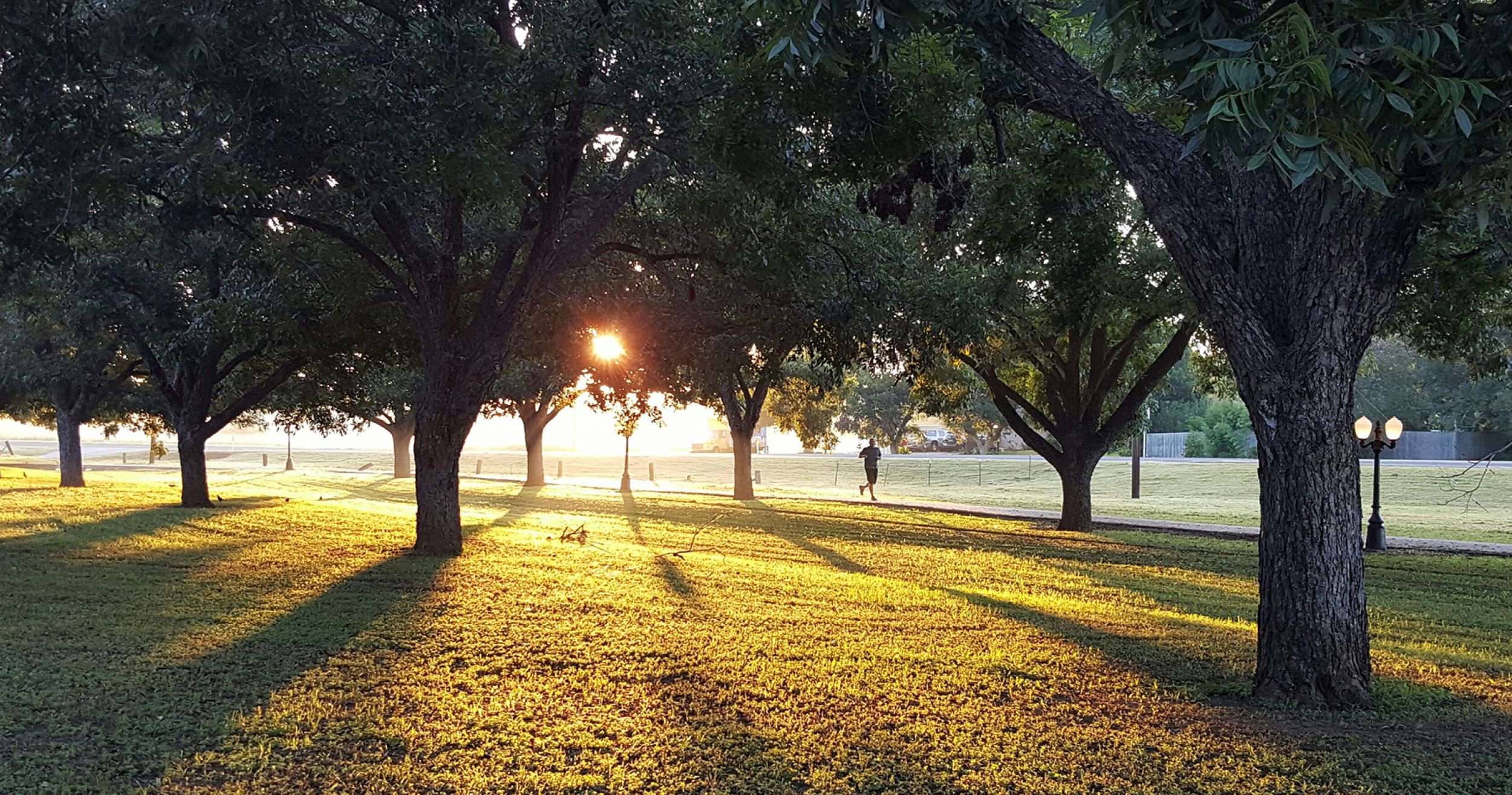 SGS Economics and Planning open space