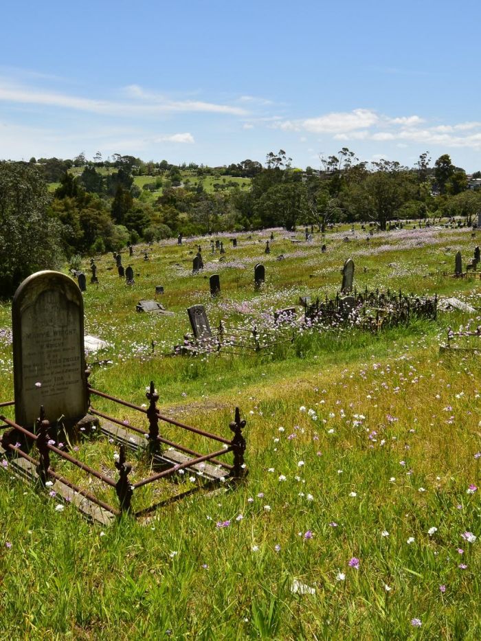 SGS Economics and Planning Auckland Waipa Cemetary