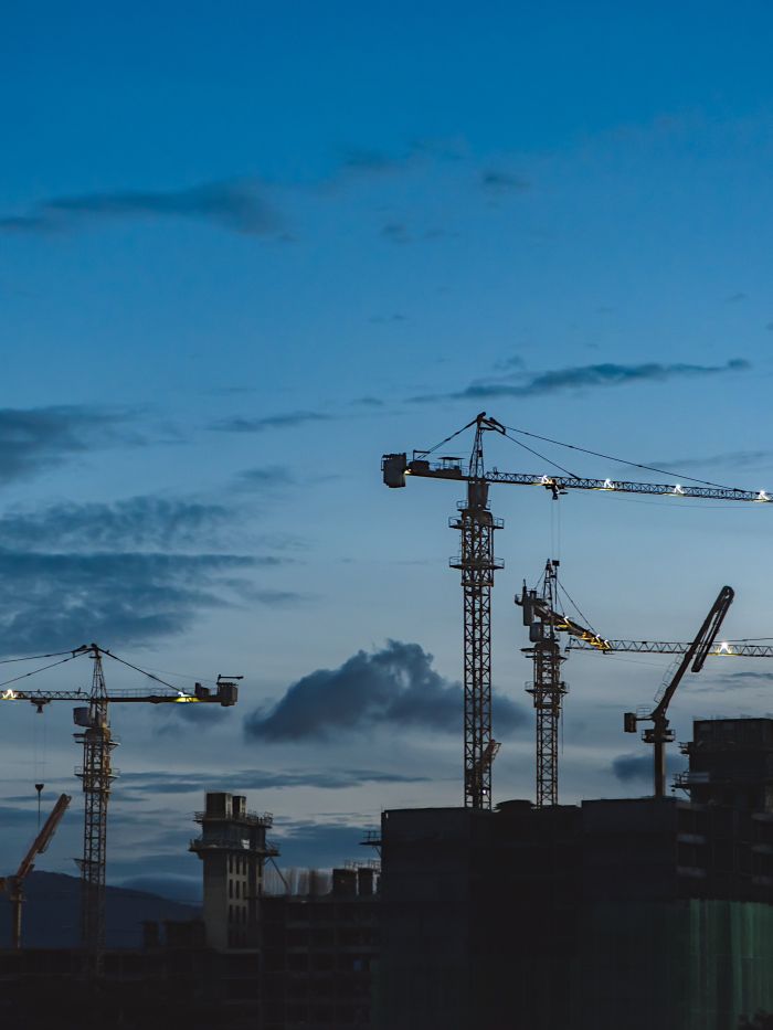 SGS Economics and Planning Cranes 2