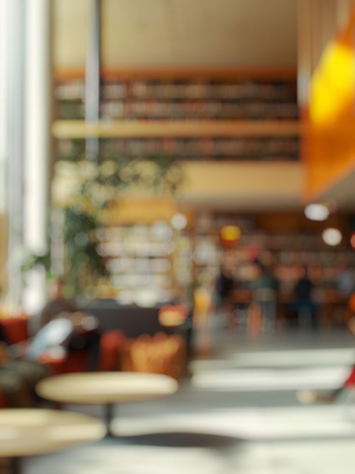 SGS Economics and Planning Georges River Libraries