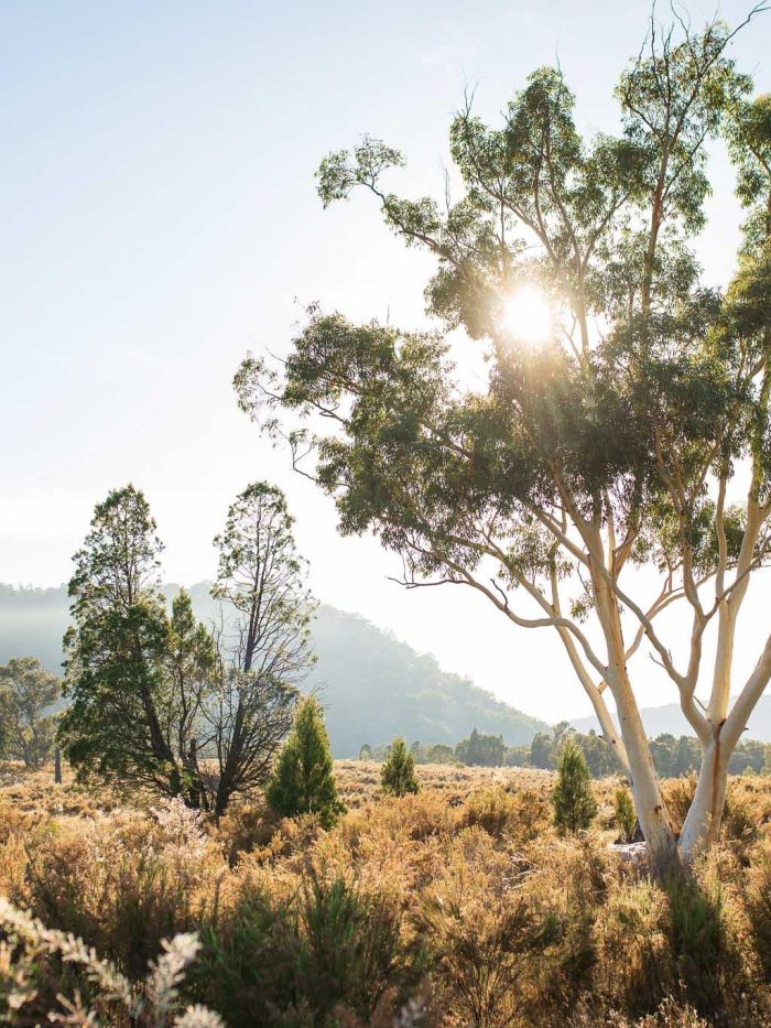 SGS Economics and Planning Mudgee