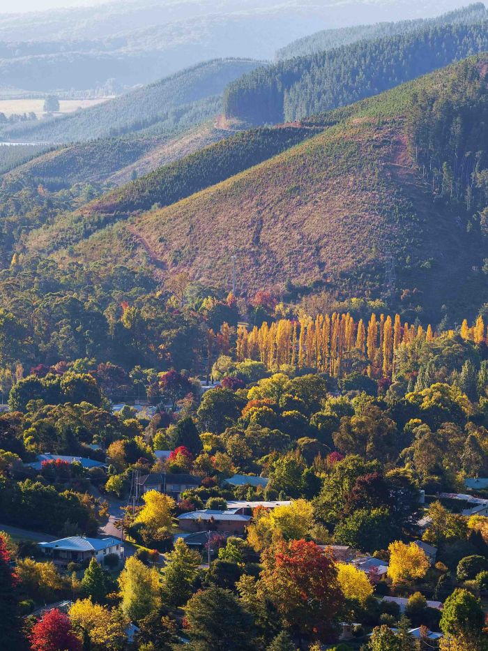 Rural_housing shortages_land audits_affordable housing_policy_residential development