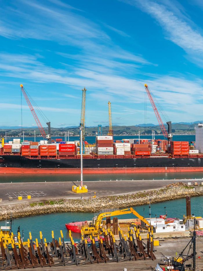 SGS Economics and Planning Wellington Port