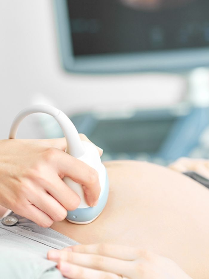 SGS Economics and Planning health project image