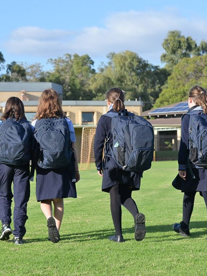 SGS Economics and Planning school planning analytical application